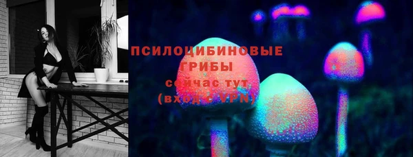 спиды Алексин