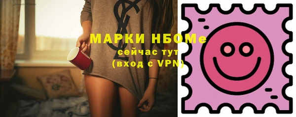 хмурый Алзамай
