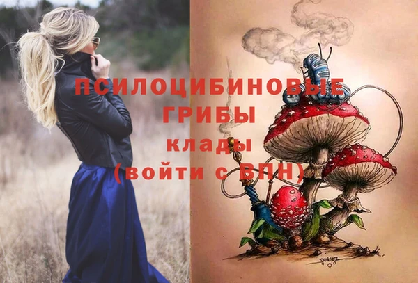 хмурый Алзамай