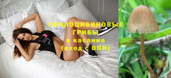 спиды Алексин