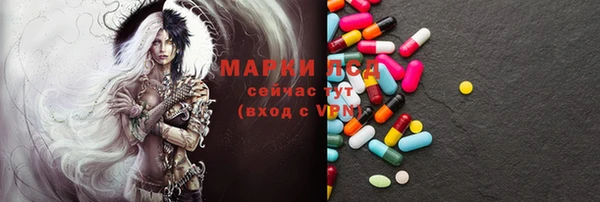 хмурый Алзамай